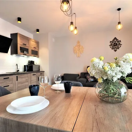 Vip Folk Lejlighed Zakopane